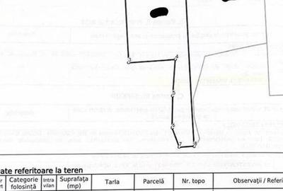 Teren Filipeni, Padure, ID: R2388724 - 9