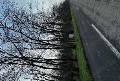 Casa de vanzare la padure - 5