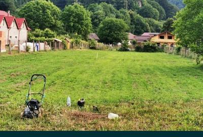 Spațiu comercial, în Agârcia - 4