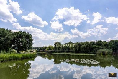 Oportunitate Rara - Vila pe Malul Lacului Snagov | Piscina | Ponton | COMISION 0 - 7