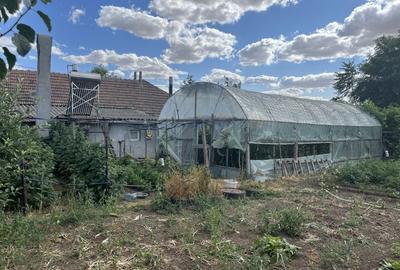 Sacele, Jud Constanta. Oportunitate! Casa la sol, 4 camere si dependinte,livada! - 3