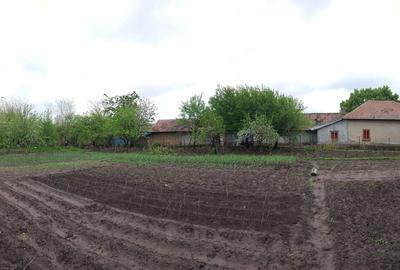 Casă cu 3 camere în Traian - 5