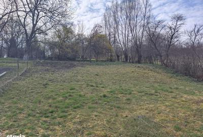 Spațiu comercial, în Săcăreni