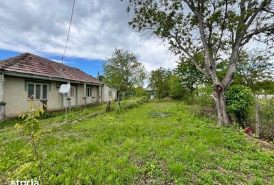 Casă cu 4 camere cu Teren 4430 Mp în Buciumeni - 10