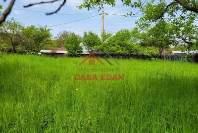 Casă cu Teren 3999 Mp în Scorțeni - 3