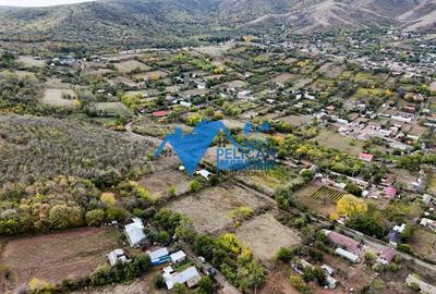 Teren intravilan NICULITEL, zona deosebita, 3044MP - 3