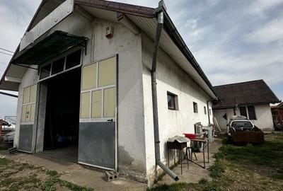 Spațiu industrial, de 250 mp, în Sântimbru - 1