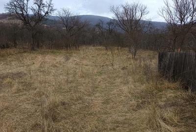 Casă cu 2 camere cu Teren 4115 Mp în Livezi - 6