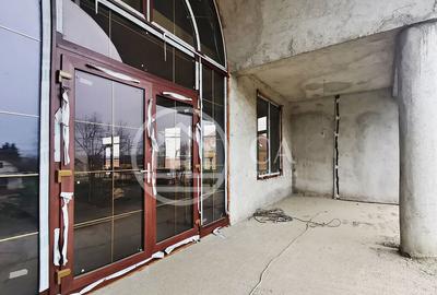 Proprietate speciala de inchiriat D+P+E+M in Calea Aradul... - 13