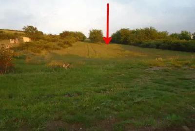 Teren de 5000 mp, în Central