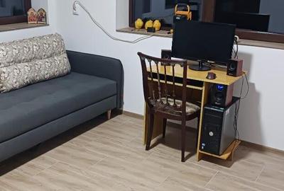 Chelinta, casa 1,2ha teren - 10