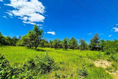 Teren intravilan Cotmeana Arges - 13