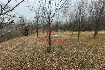 Casă cu Teren 1358 Mp în Gura Beliei - 10