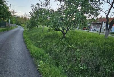 Teren de 1466 mp, în Șoimuș - 2