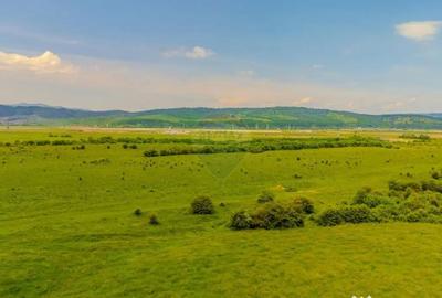 Teren de 10800 mp, în Râșnov - 11