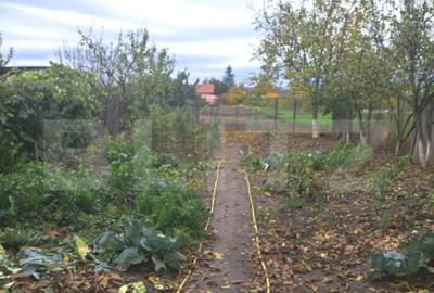 Casă cu 5 camere cu Teren 1384 Mp în Hărman - 17