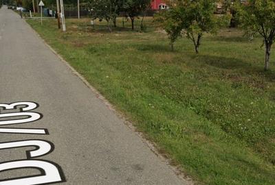 Teren de 4500 mp, în Spineni - 2