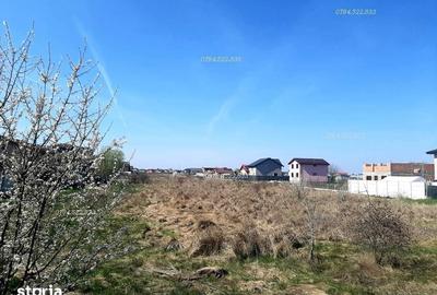 Teren de 300 mp, în Berceni - 3