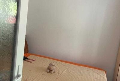 Casă cu 3 camere cu Teren 60 Mp în Ultracentral - 3