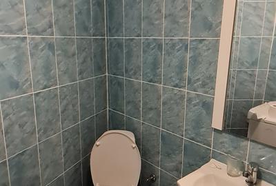 Vand casa D+P zona Aurel Vlaicu - 9
