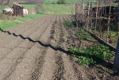 Casă cu 3 camere cu Teren 900 Mp în Iclod - 7