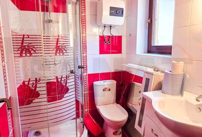 Casa + Moara + Spatiu Comercial, langa Primarie, 3 intrari |VIDEO - 23