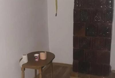 Casă cu 2 camere cu Teren 1439 Mp în Cermei - 4