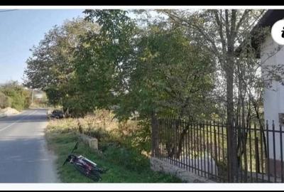 Teren de 447 mp, în Băceni - 1