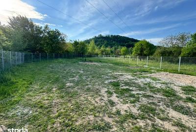 Casă cu 3 camere cu Teren 9000 Mp în Tăuții-Măgherăuș - 10