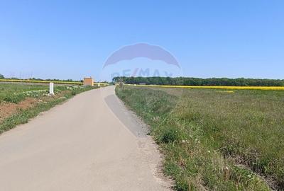 Teren Construcții intravilan de 980 mp, în Ciolpani - 3