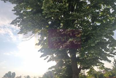 Se vinde teren 2150 mp in Teisori Giurgiu - 13