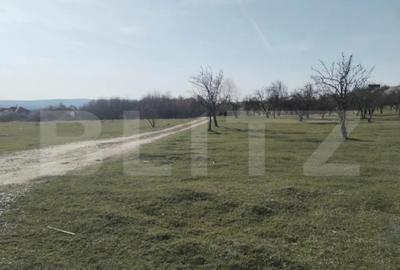 Teren de 90000 mp, în Central - 3