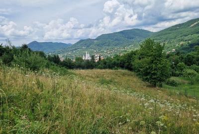Teren de vanzare in Baia Sprie: 52 Ari, Parcelabil, Comision 0% - 1