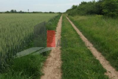 Buftea, teren cu iesire la lac - 4