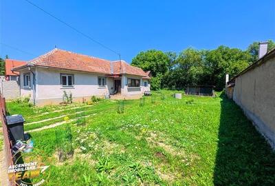 Casa luminoasa de 107 mp, 1.000mp teren, 250 m de izvorul cu apa minerala, zona - 7