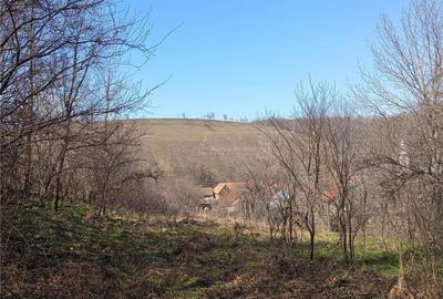 Bradisoru de Jos, Casa 2 Cam. + Teren 1439MP - 6