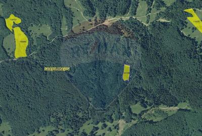 Teren 5500 mp, Valea Sasului, sat Dalghiu, com Vama Buzaului - 8