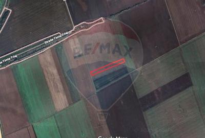 Teren agricol extravilan de 5876 mp, în Hărman - 1