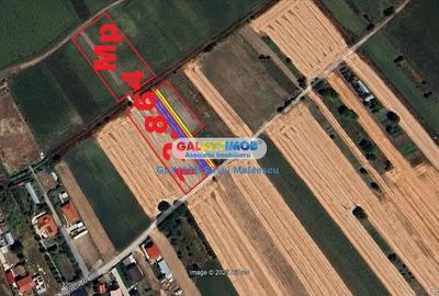 Crevedia - Darza - Teren 13.055 Mp - 16