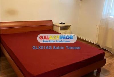 De inchirere  vila  Stefanesti Lidl  ....curte amenajata teren 450 mp - 7