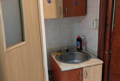 Camera de camin - 21 mp - Valea Rosie - 4