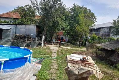 Casă cu Teren 5741 Mp în Lunca Mureșului - 1