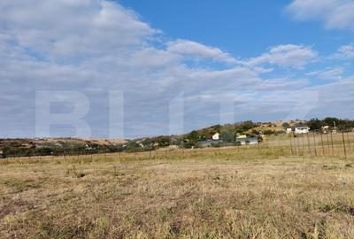 Teren agricol extravilan de 2100 mp, în Exterior Vest - 1