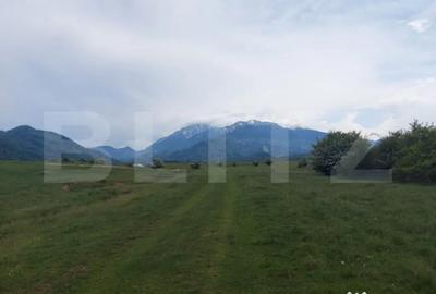 Teren de 10000 mp, în Central - 7