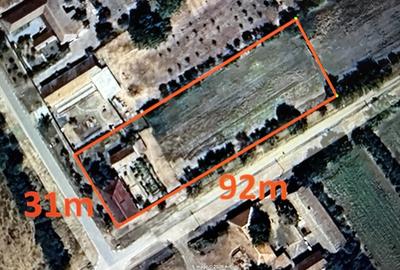 Casa de vanzare in Firiteaz, 24 km de Arad, 2787 metri patra?i. - 11