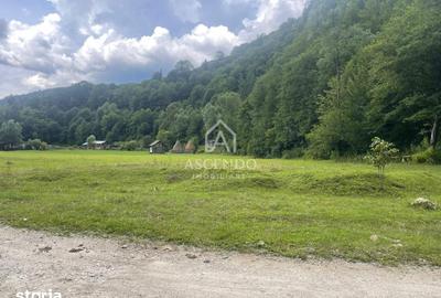 Teren de 4500 mp, în Dâmbovicioara - 13