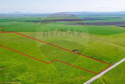 Teren agricol 5 ha, extravilan, 52 m deschidere la ?osea - 2