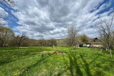 Casă cu 3 camere în Filea de Jos - 7