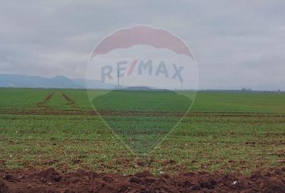 Comision 0 %! Teren extravilan, 21,175 mp Harman - 3