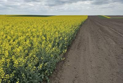 Spațiu comercial, în Țepu - 3